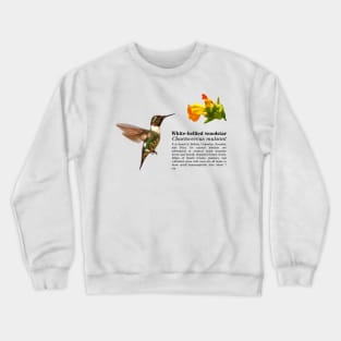 White-bellied woodstar hummingbird black text Crewneck Sweatshirt